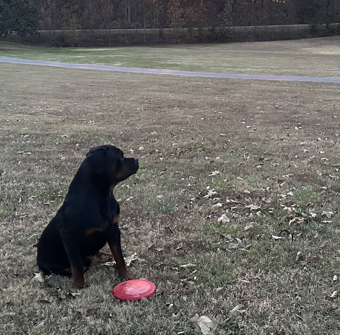Gunner