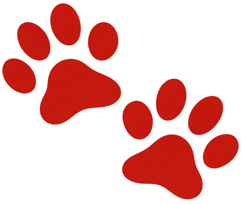 paw