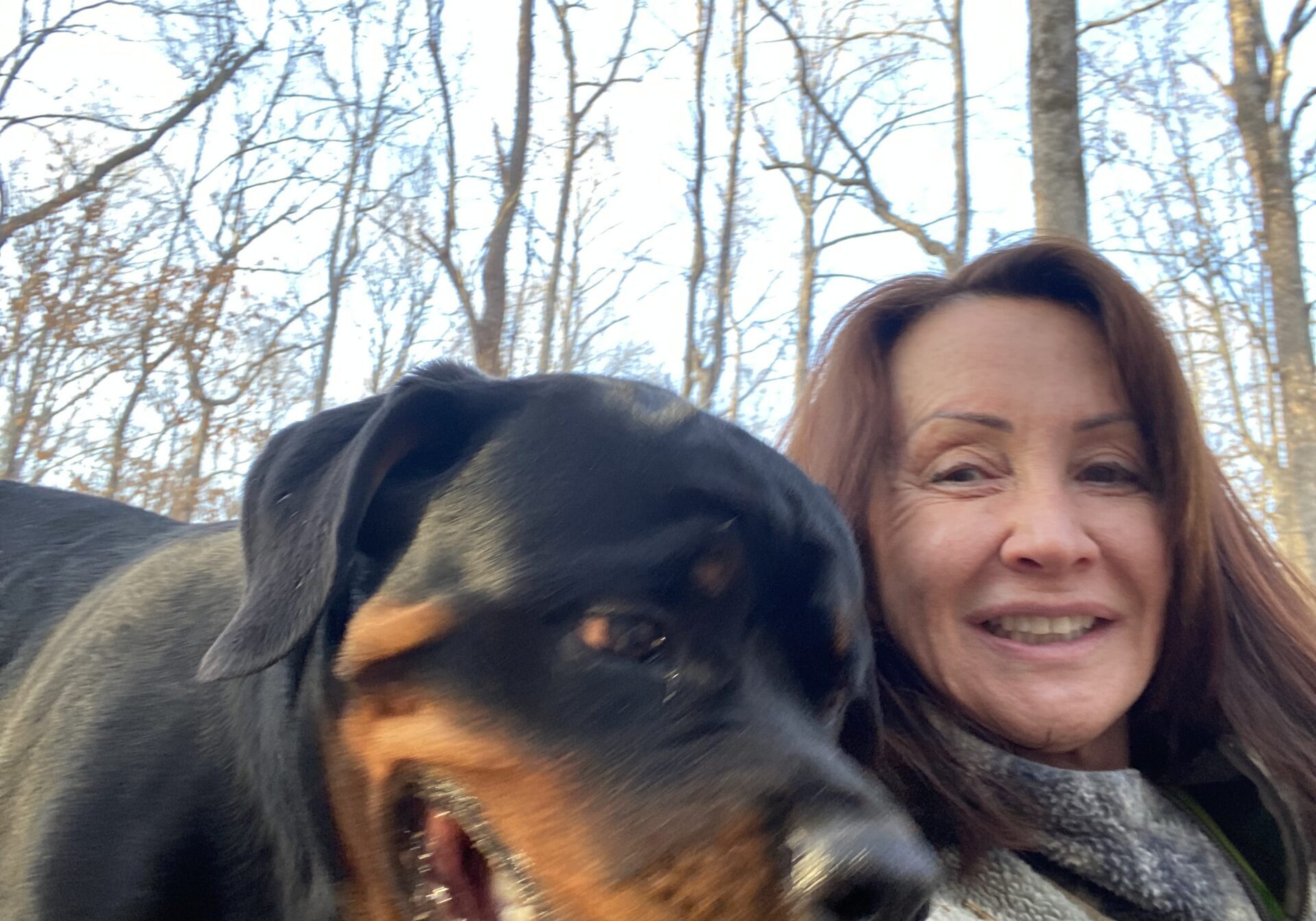 Lessons From My Dog Gunner®