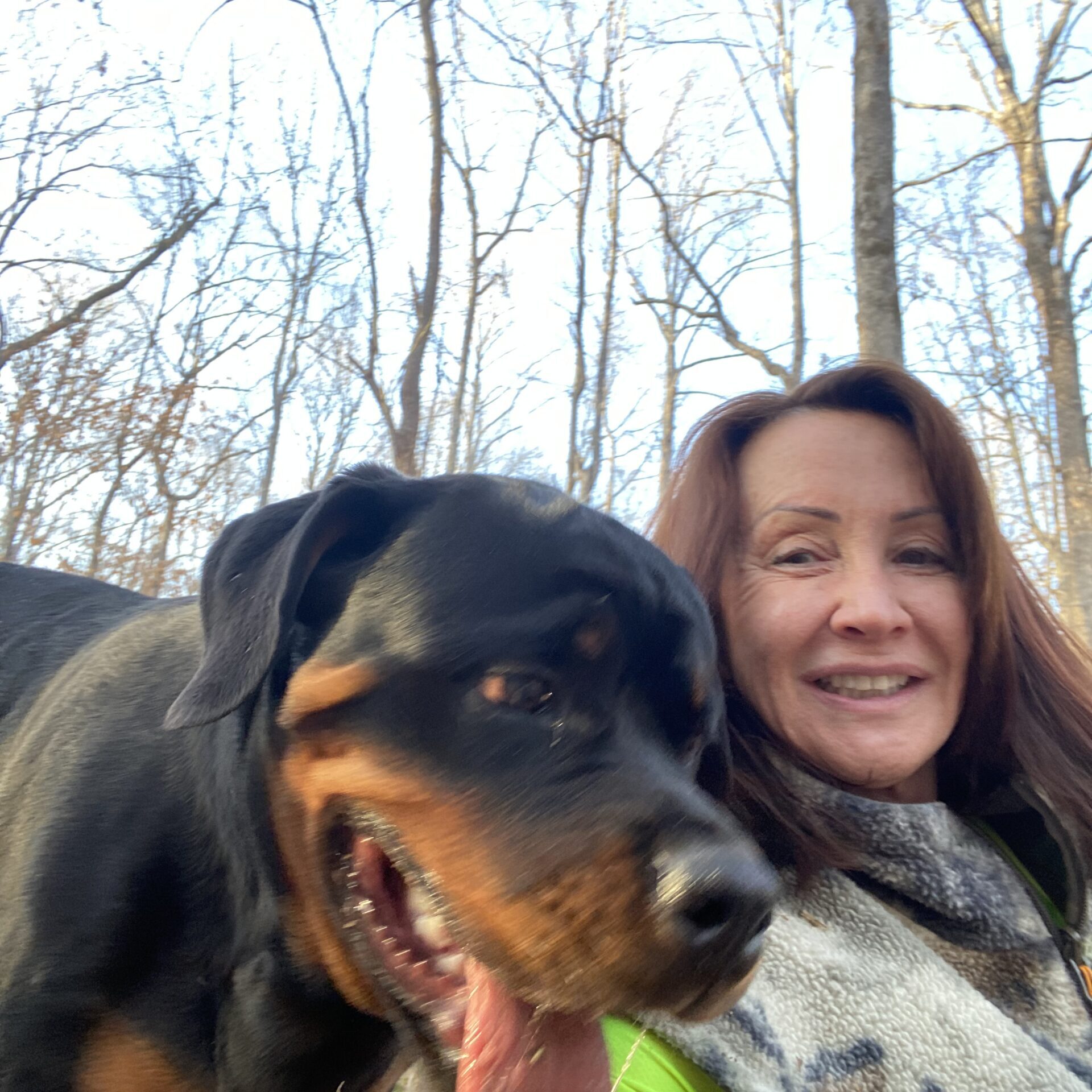 Lessons From My Dog Gunner®