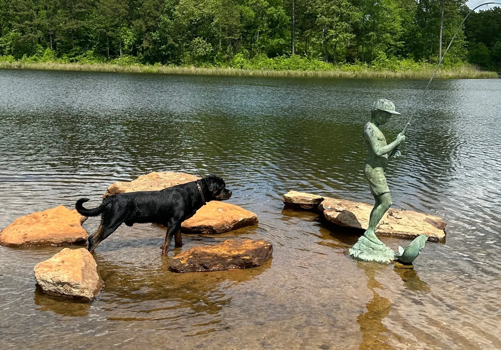 Lessons From My Dog Gunner