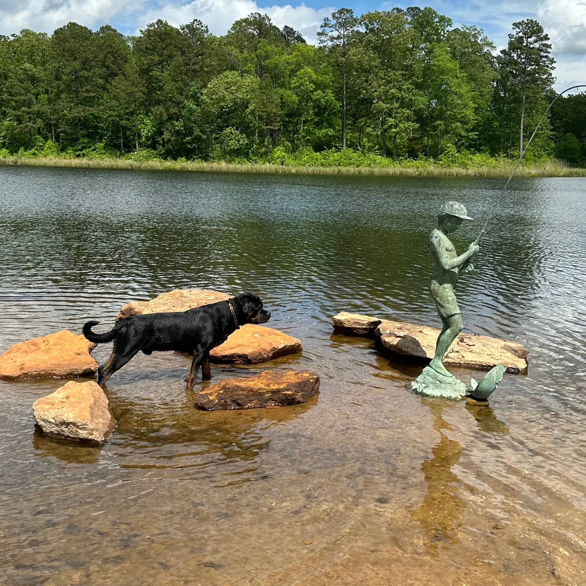 Lessons From My Dog Gunner